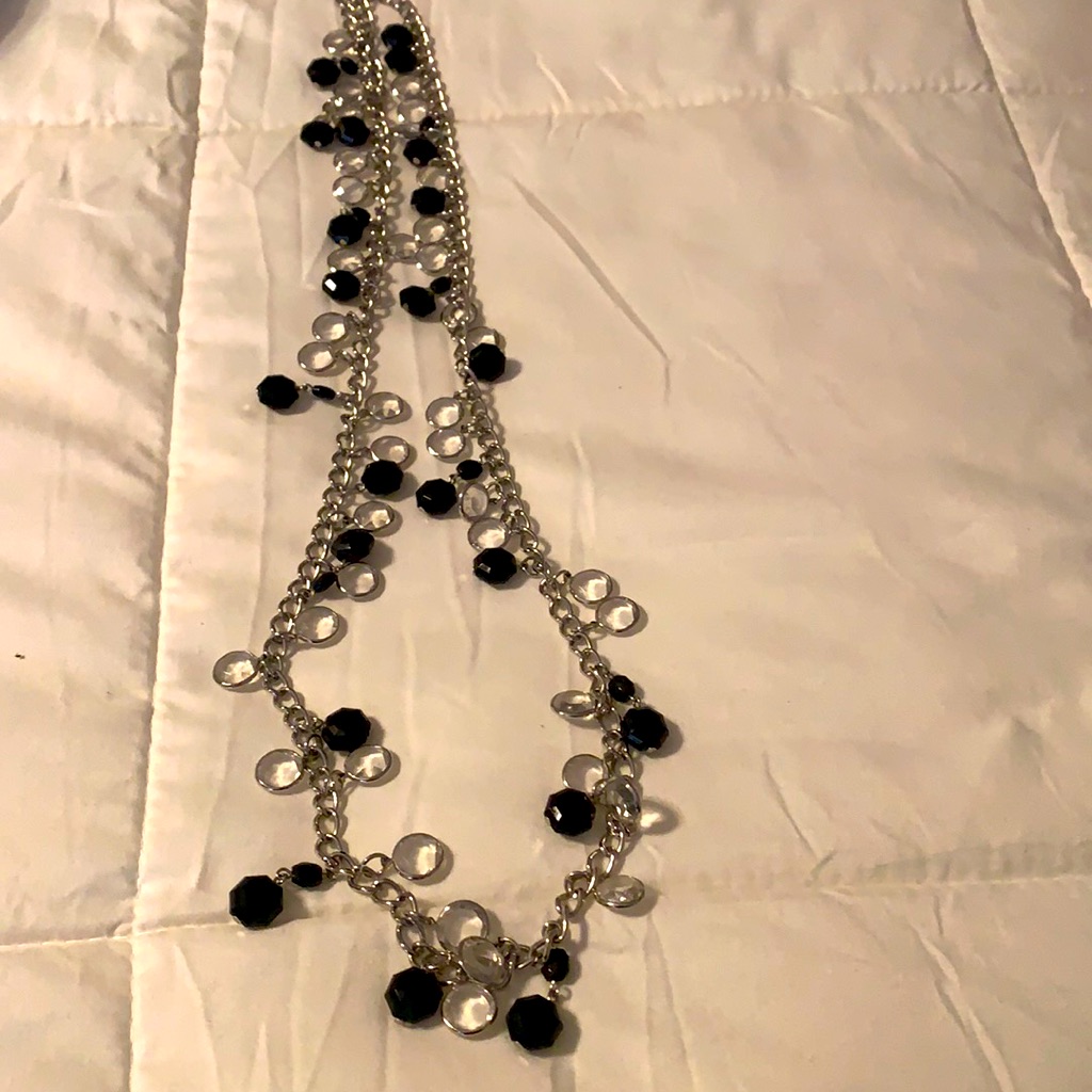 Nwot Whbm Silver Long Necklace With Beads 14$